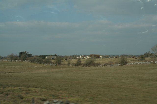 IMG_9483.JPG