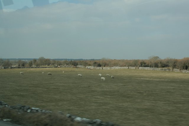 IMG_9485.JPG